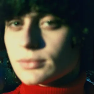 Little electric chicken heart